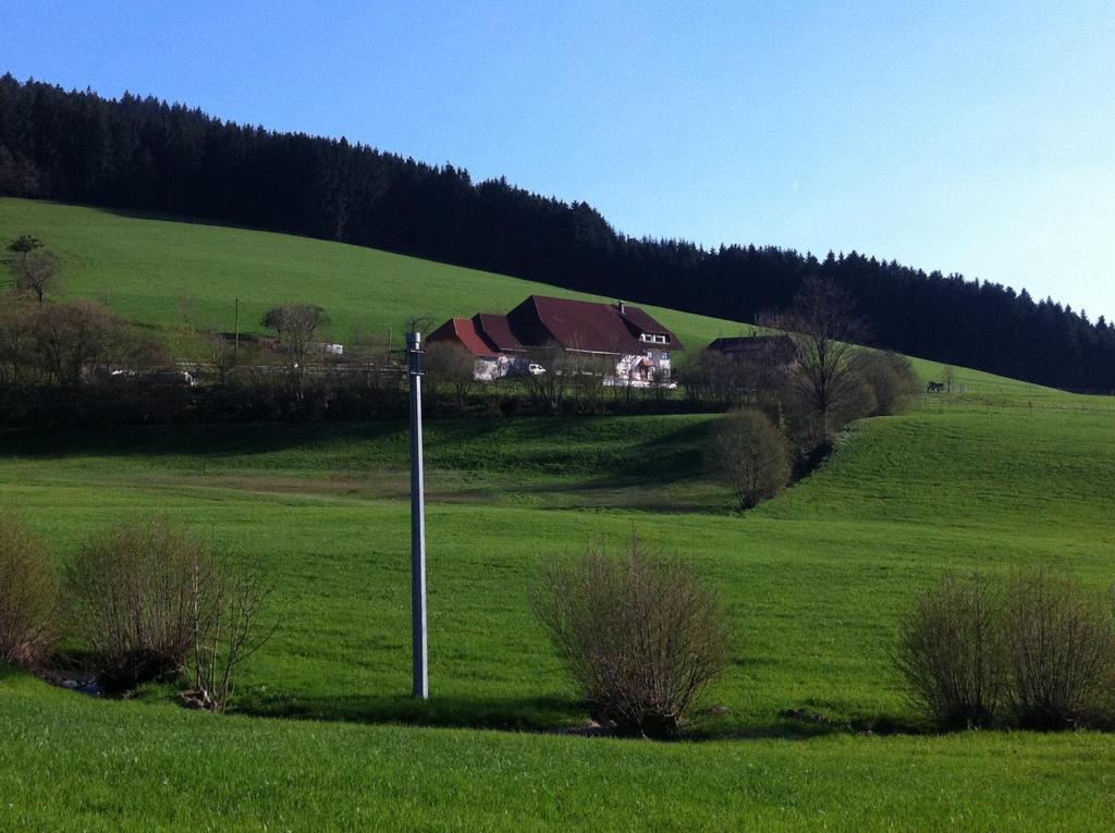 Gasthof Richebaechli Elzach Buitenkant foto