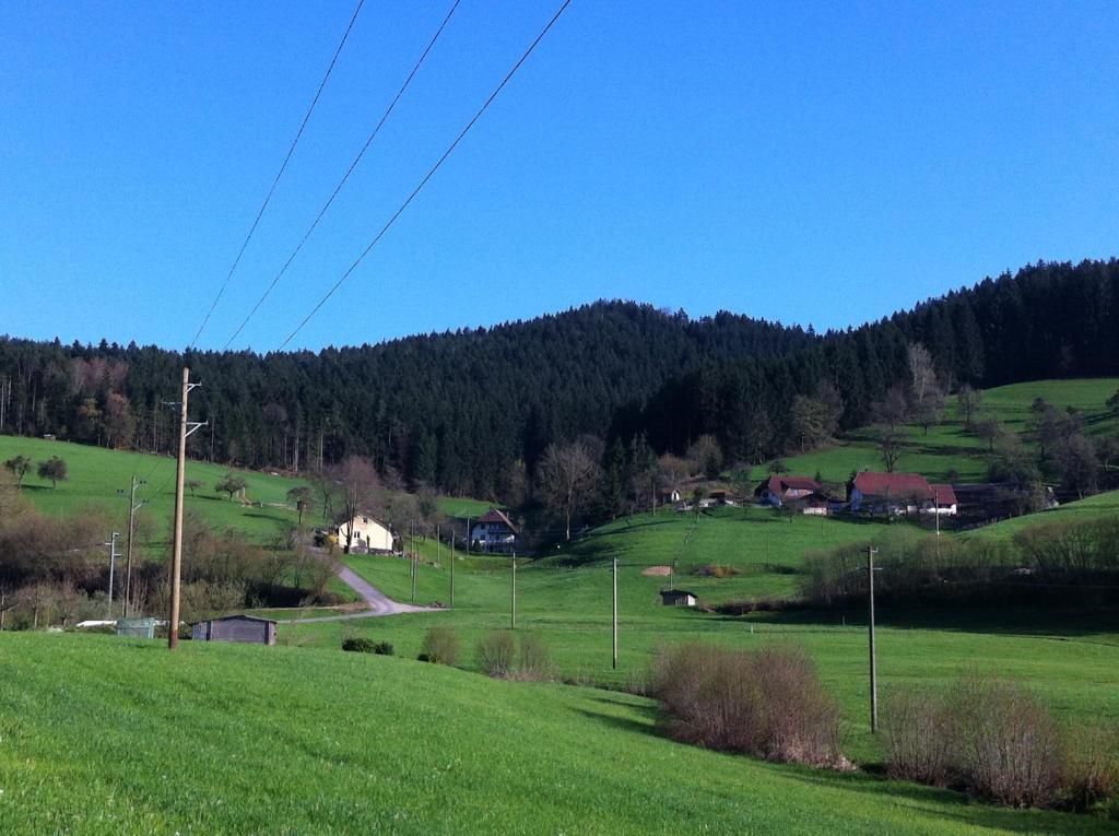 Gasthof Richebaechli Elzach Buitenkant foto