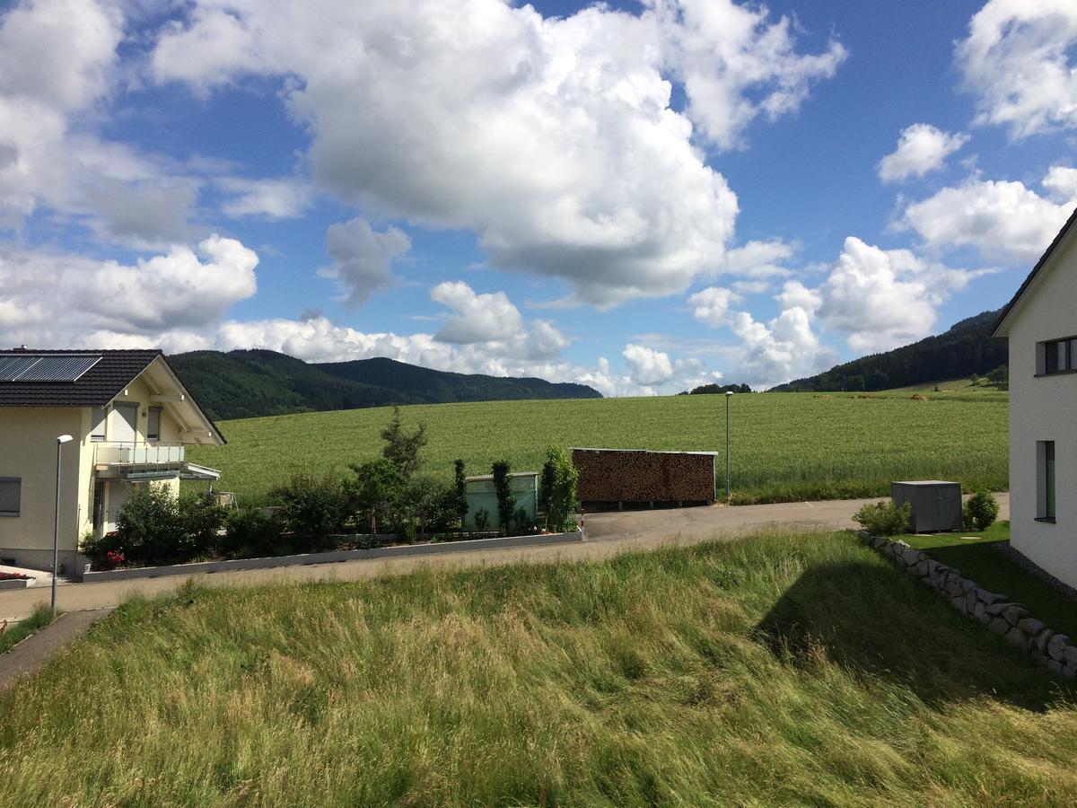 Gasthof Richebaechli Elzach Buitenkant foto